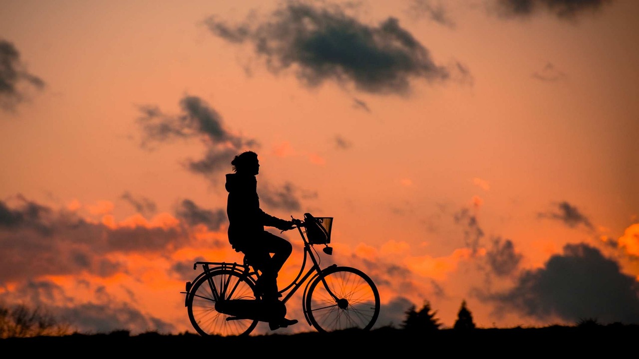 silhouette, bike, fitness, woman, sporty, healthy, cycling, bicycle ride, bike, bike, bike, bike, bike, fitness, fitness, fitness, healthy, healthy, cycling, cycling, cycling-683751.jpg
